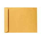 fis-brown-envelope-16-12-inch-250-box